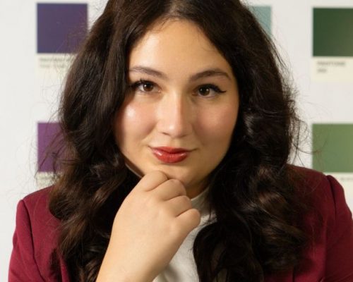 TRANSITIONS AND MILESTONES